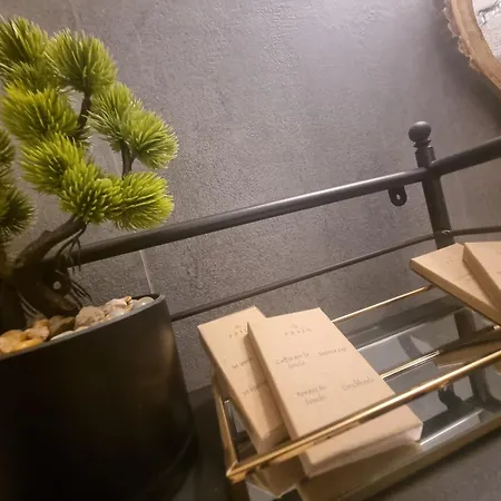 Arche Domus Appartement *