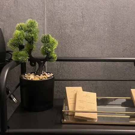 Arche' Domus Apartment *